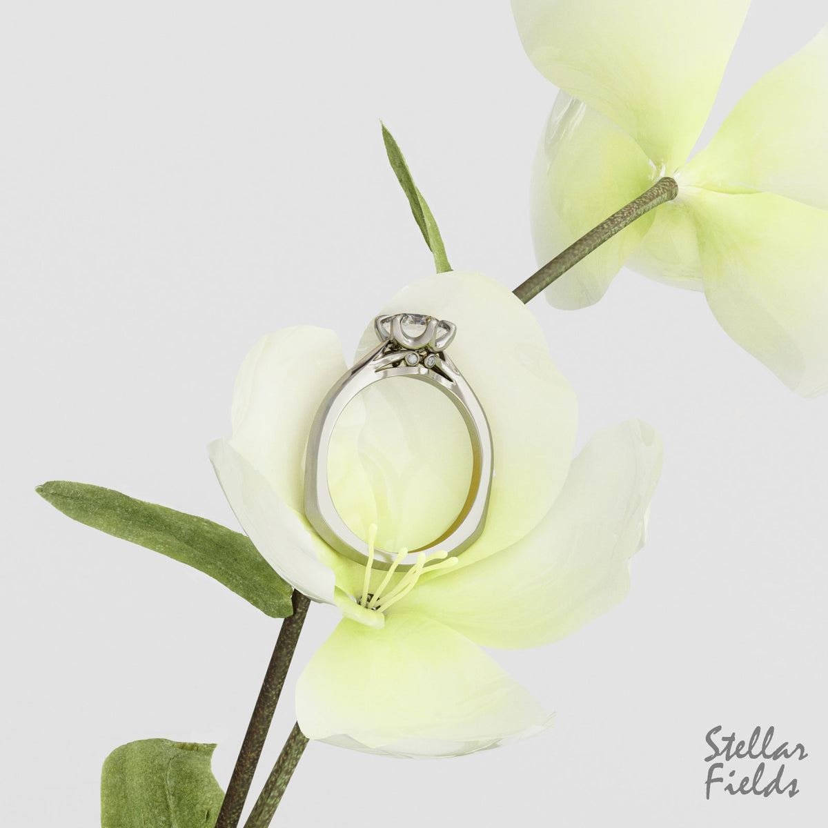 Isabella Ring Baroque Victorian Engagement Ring 14k White Gold Platinum Custom Made Canada Stellar Fields Jewelry